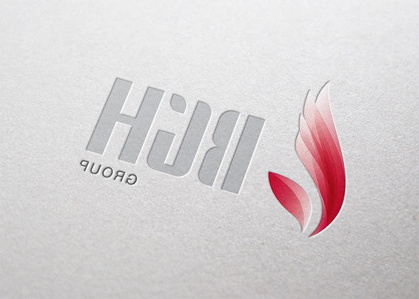 BGH的logo设计与VI设计-Flow Asia